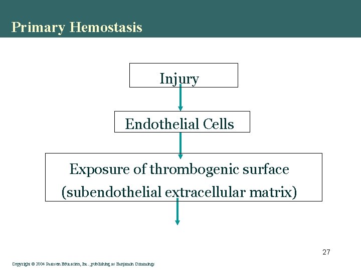 Primary Hemostasis Injury Endothelial Cells Exposure of thrombogenic surface (subendothelial extracellular matrix) 27 Copyright