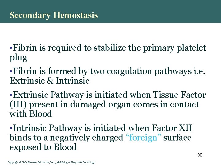 Secondary Hemostasis • Fibrin is required to stabilize the primary platelet plug • Fibrin