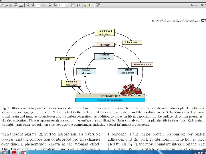 Copyright © 2004 Pearson Education, Inc. , publishing as Benjamin Cummings 