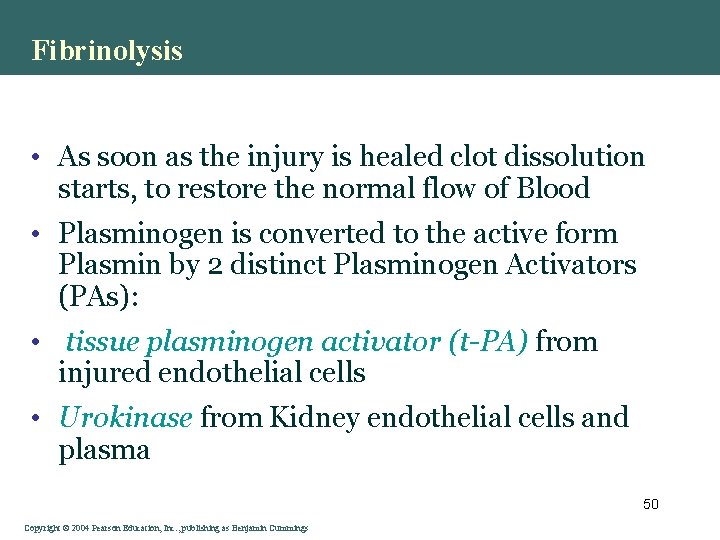 Fibrinolysis • As soon as the injury is healed clot dissolution starts, to restore