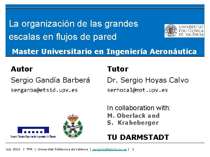 La organización de las grandes escalas en flujos de pared Master Universitario en Ingeniería