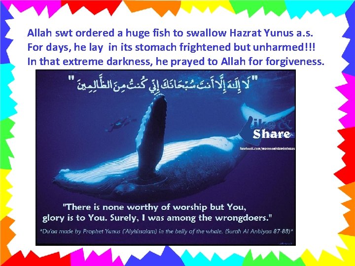 Allah swt ordered a huge fish to swallow Hazrat Yunus a. s. For days,