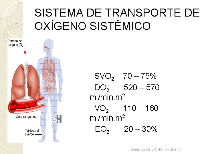 SISTEMA DE TRANSPORTE DE OXÍGENO SISTÉMICO SVO 2 70 – 75% DO 2 520