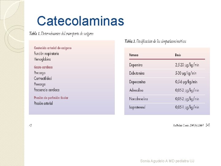 Catecolaminas Sonia Agudelo A MD pediatra UJ 