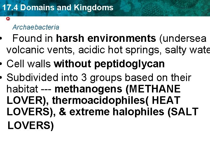 17. 4 Domains and Kingdoms Archaebacteria • Found in harsh environments (undersea volcanic vents,