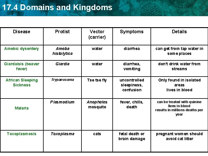 17. 4 Domains and Kingdoms Disease Protist Vector (carrier) Symptoms Details Amebic dysentery Ameba