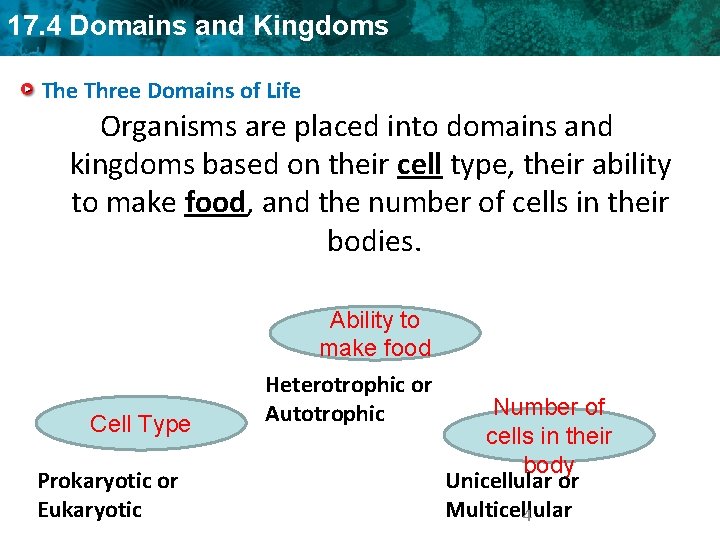 17. 4 Domains and Kingdoms The Three Domains of Life Organisms are placed into