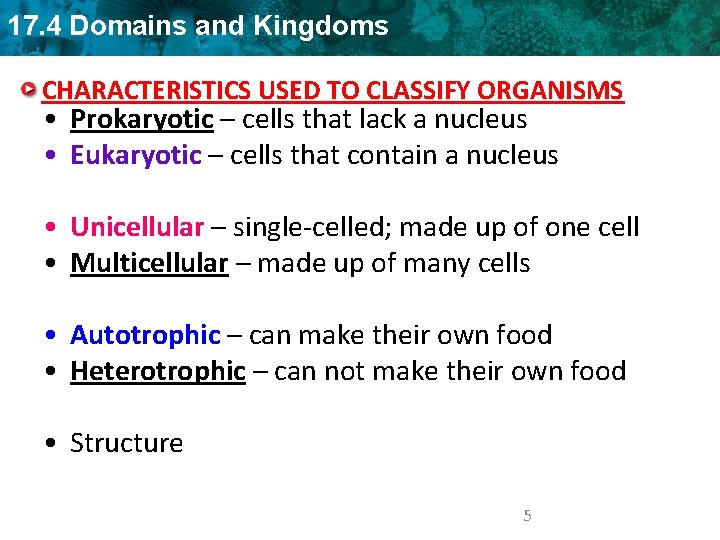 17. 4 Domains and Kingdoms CHARACTERISTICS USED TO CLASSIFY ORGANISMS • Prokaryotic – cells