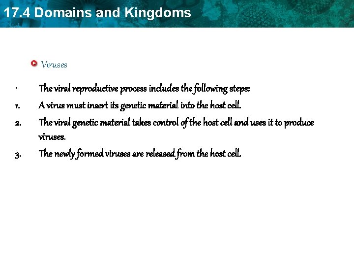 17. 4 Domains and Kingdoms Viruses • 1. 2. 3. The viral reproductive process