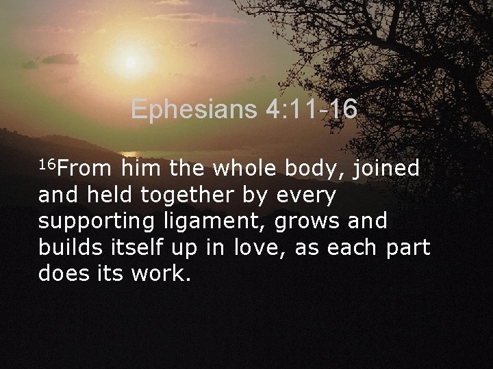 Ephesians 4: 11 -16 16 From him the whole body, joined and held together