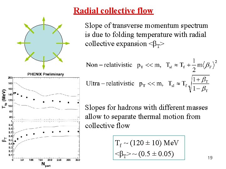 Radial collective flow Slope of transverse momentum spectrum is due to folding temperature with
