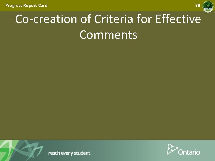 Progress Report Card 38 Co-creation of Criteria for Effective Comments 