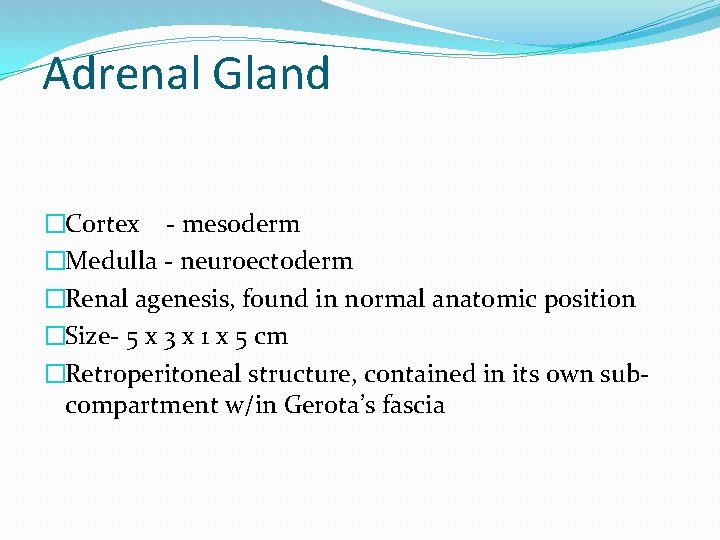 Adrenal Gland �Cortex - mesoderm �Medulla - neuroectoderm �Renal agenesis, found in normal anatomic