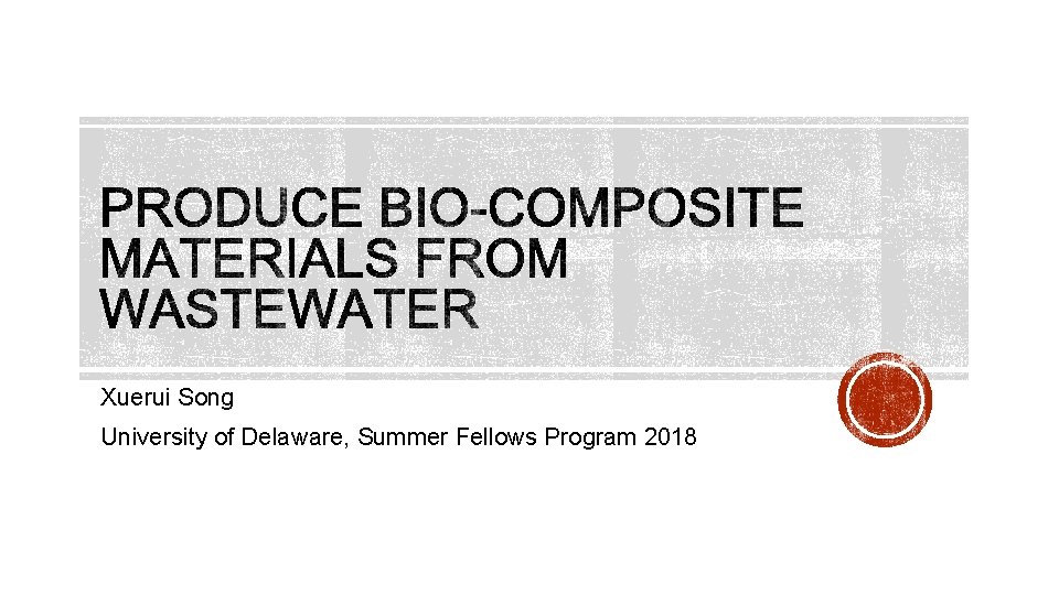 Xuerui Song University of Delaware, Summer Fellows Program 2018 