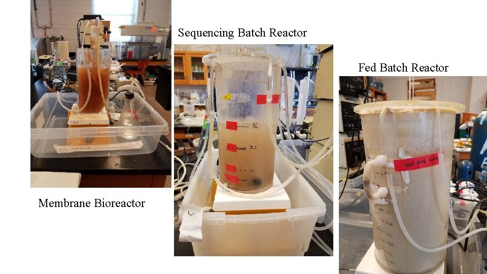 Sequencing Batch Reactor Fed Batch Reactor Membrane Bioreactor 