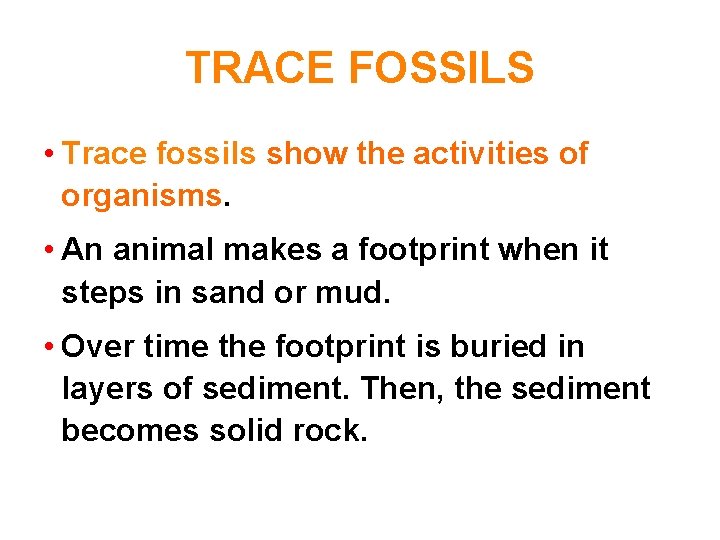 TRACE FOSSILS • Trace fossils show the activities of organisms. • An animal makes