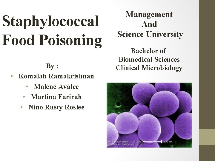 Staphylococcal Food Poisoning By : • Komalah Ramakrishnan • Malene Avalee • Martina Farirah