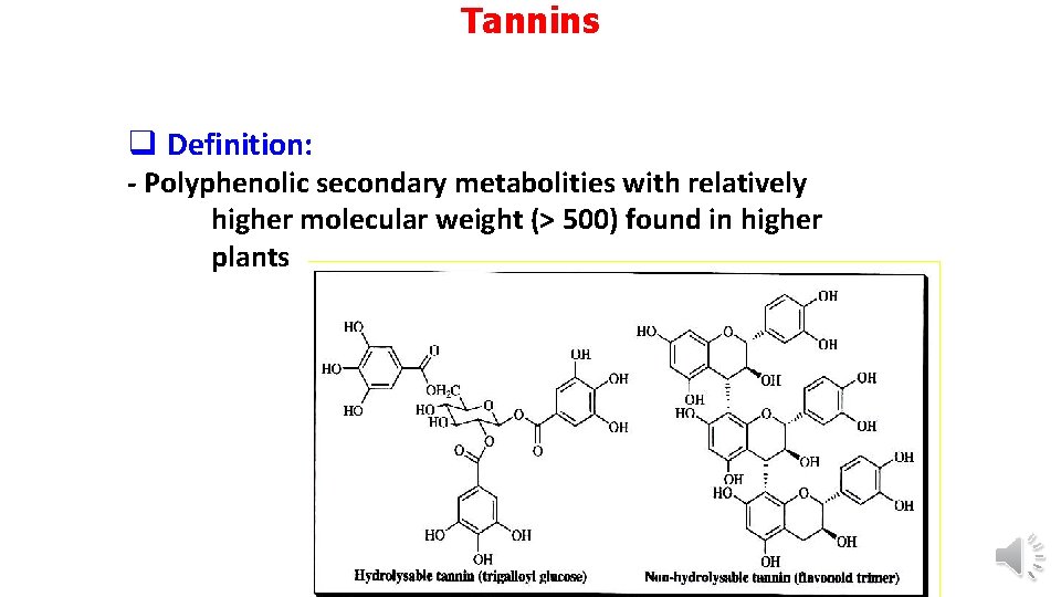 Tannins q Definition: - Polyphenolic secondary metabolities with relatively higher molecular weight (> 500)