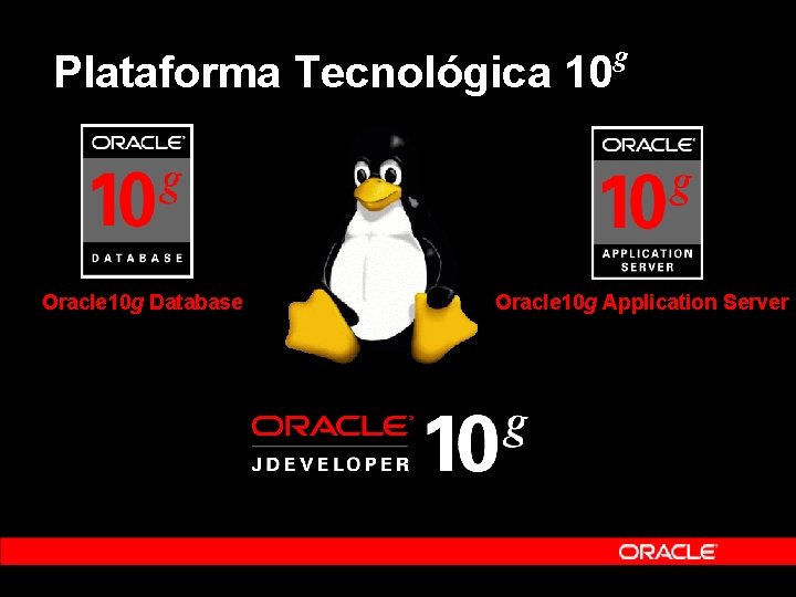 Plataforma Tecnológica 10 Oracle 10 g Database g Oracle 10 g Application Server Plataforma Tecnológica 10 Oracle 10 g Database g Oracle 10 g Application Server