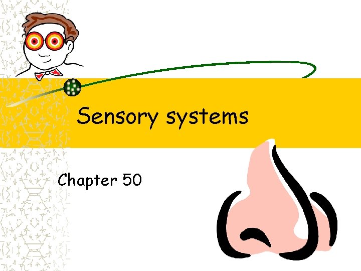 Sensory systems Chapter 50 