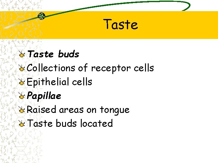 Taste buds Collections of receptor cells Epithelial cells Papillae Raised areas on tongue Taste