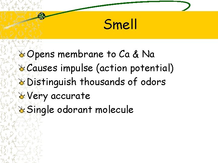 Smell Opens membrane to Ca & Na Causes impulse (action potential) Distinguish thousands of