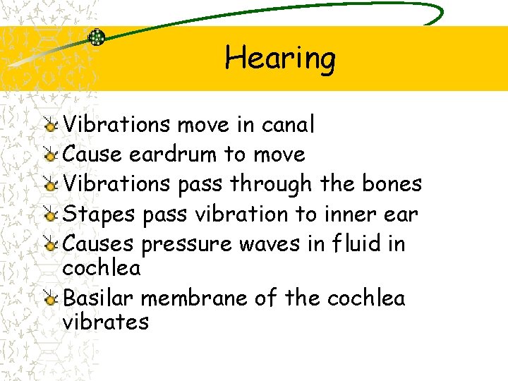 Hearing Vibrations move in canal Cause eardrum to move Vibrations pass through the bones