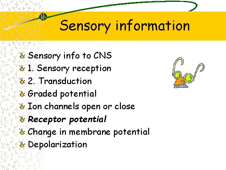 Sensory information Sensory info to CNS 1. Sensory reception 2. Transduction Graded potential Ion