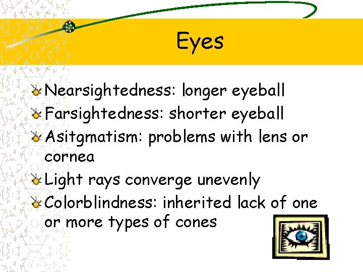 Eyes Nearsightedness: longer eyeball Farsightedness: shorter eyeball Asitgmatism: problems with lens or cornea Light