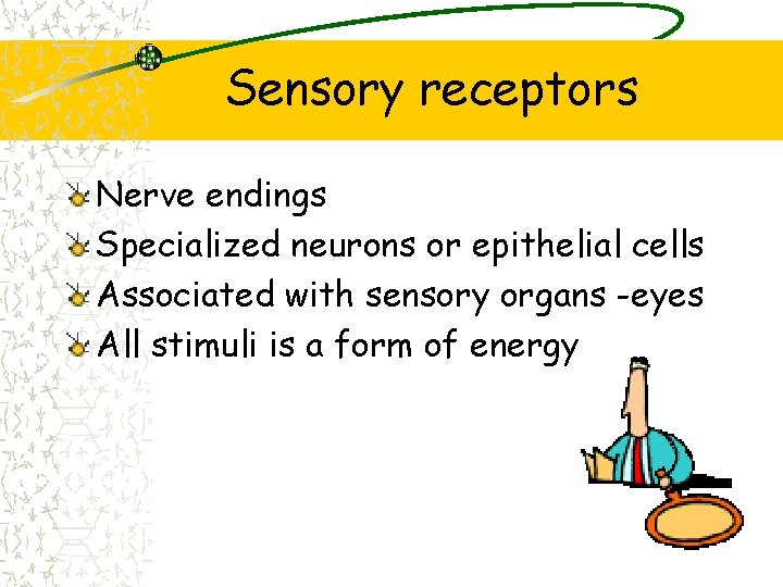 Sensory receptors Nerve endings Specialized neurons or epithelial cells Associated with sensory organs -eyes