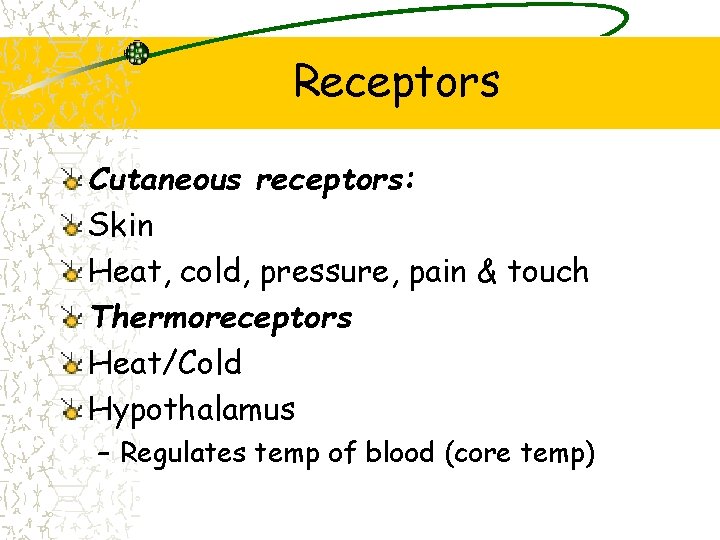 Receptors Cutaneous receptors: Skin Heat, cold, pressure, pain & touch Thermoreceptors Heat/Cold Hypothalamus –