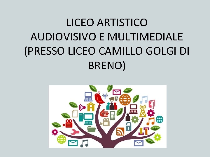 LICEO ARTISTICO AUDIOVISIVO E MULTIMEDIALE (PRESSO LICEO CAMILLO GOLGI DI BRENO) 