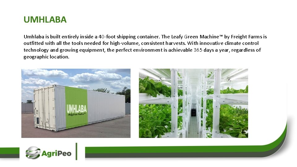 UMHLABA Umhlaba is built entirely inside a 40 -foot shipping container. The Leafy Green