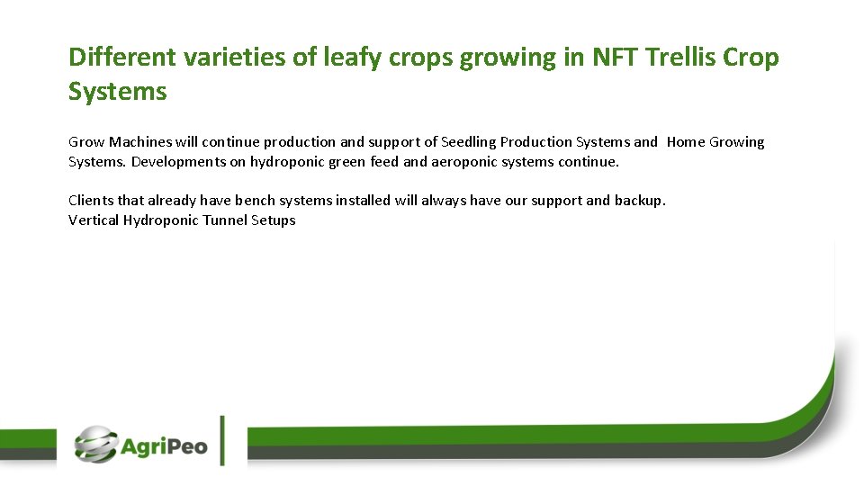 Different varieties of leafy crops growing in NFT Trellis Crop Systems Grow Machines will