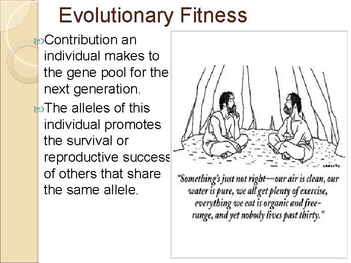 Evolutionary Fitness Contribution an individual makes to the gene pool for the next generation.