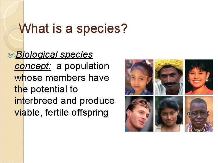 What is a species? Biological species concept: a population whose members have the potential