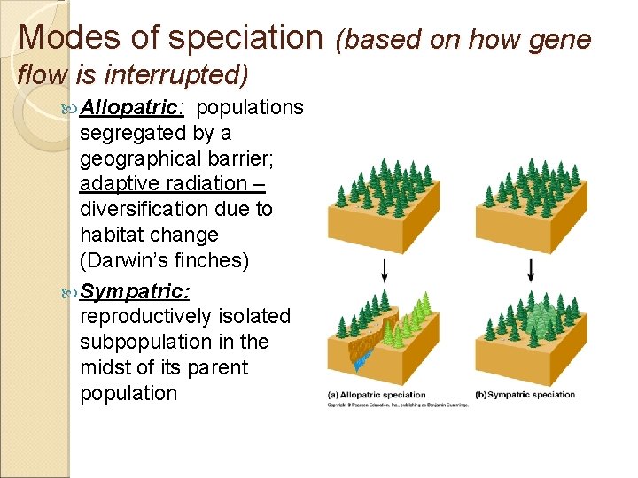 Modes of speciation (based on how gene flow is interrupted) Allopatric: populations segregated by