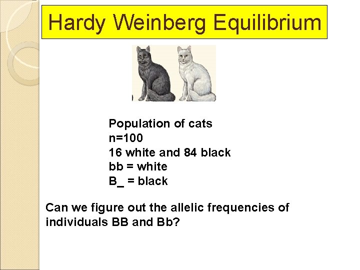 Hardy Weinberg Equilibrium Population of cats n=100 16 white and 84 black bb =