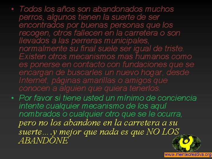  • Todos los años son abandonados muchos perros, algunos tienen la suerte de