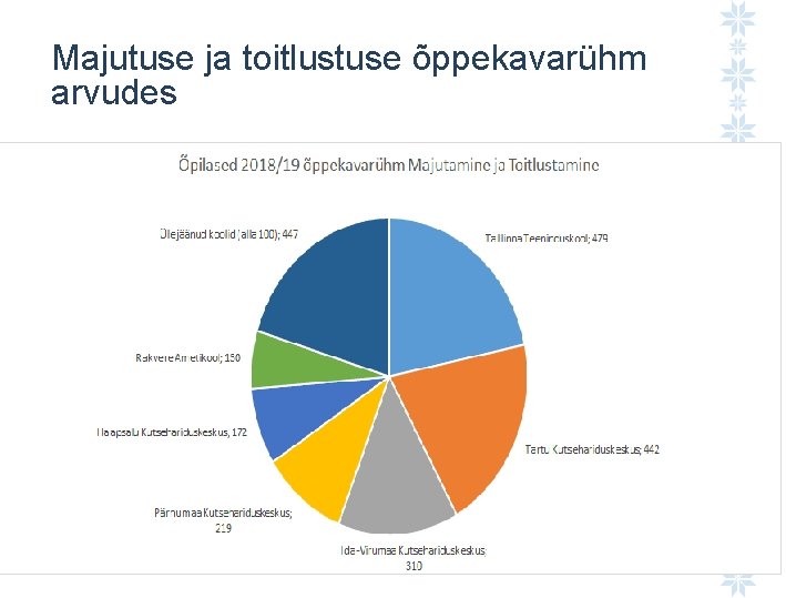 Majutuse ja toitlustuse õppekavarühm arvudes 