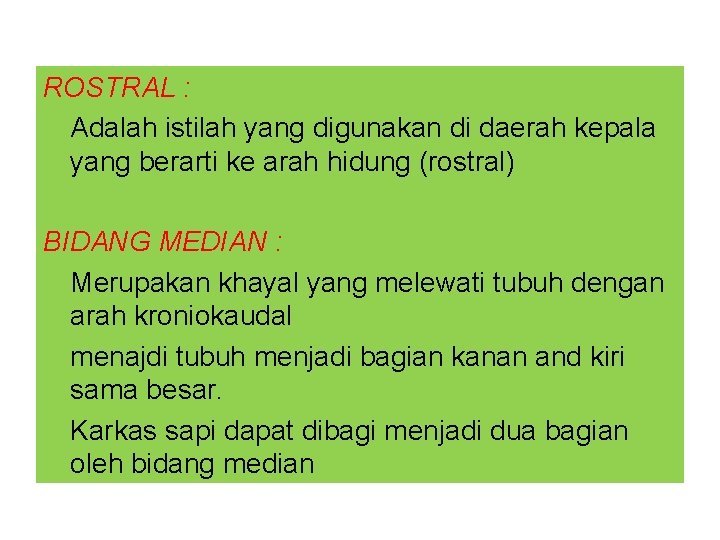 ROSTRAL : Adalah istilah yang digunakan di daerah kepala yang berarti ke arah hidung