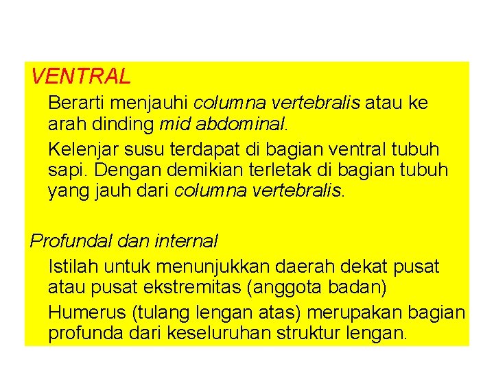 VENTRAL Berarti menjauhi columna vertebralis atau ke arah dinding mid abdominal. Kelenjar susu terdapat