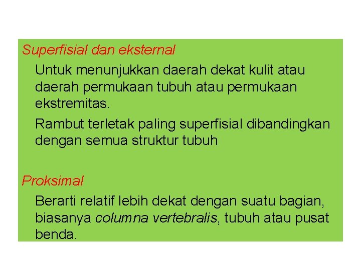 Superfisial dan eksternal Untuk menunjukkan daerah dekat kulit atau daerah permukaan tubuh atau permukaan Superfisial dan eksternal Untuk menunjukkan daerah dekat kulit atau daerah permukaan tubuh atau permukaan