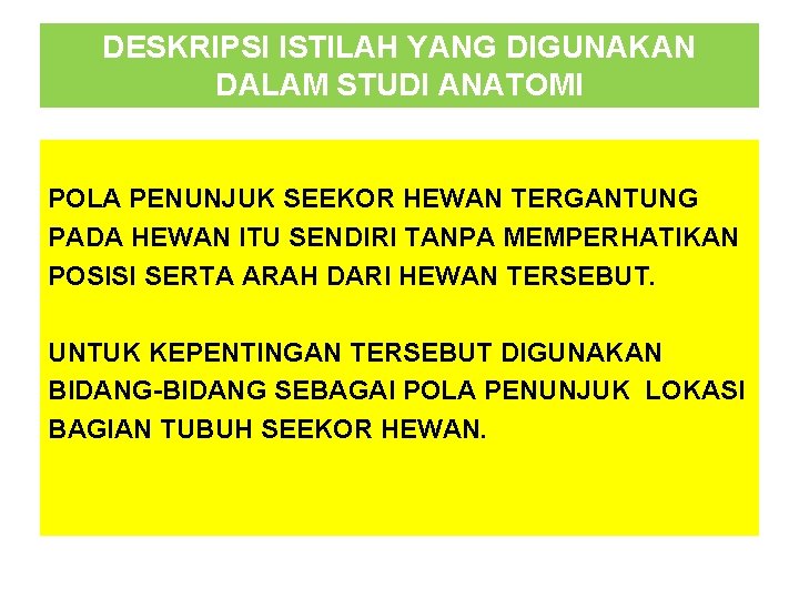 DESKRIPSI ISTILAH YANG DIGUNAKAN DALAM STUDI ANATOMI POLA PENUNJUK SEEKOR HEWAN TERGANTUNG PADA HEWAN DESKRIPSI ISTILAH YANG DIGUNAKAN DALAM STUDI ANATOMI POLA PENUNJUK SEEKOR HEWAN TERGANTUNG PADA HEWAN