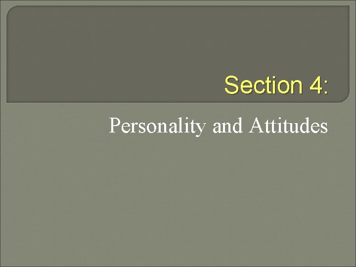 Section 4: Personality and Attitudes 