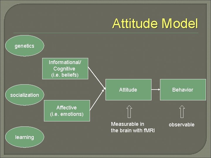 Attitude Model genetics Informational/ Cognitive (i. e. beliefs) Attitude socialization Behavior Affective (i. e.