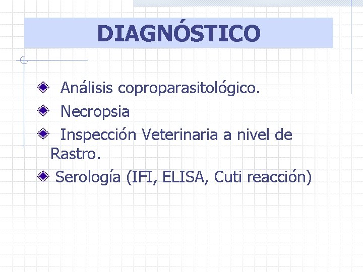 DIAGNÓSTICO Análisis coproparasitológico. Necropsia Inspección Veterinaria a nivel de Rastro. Serología (IFI, ELISA, Cuti