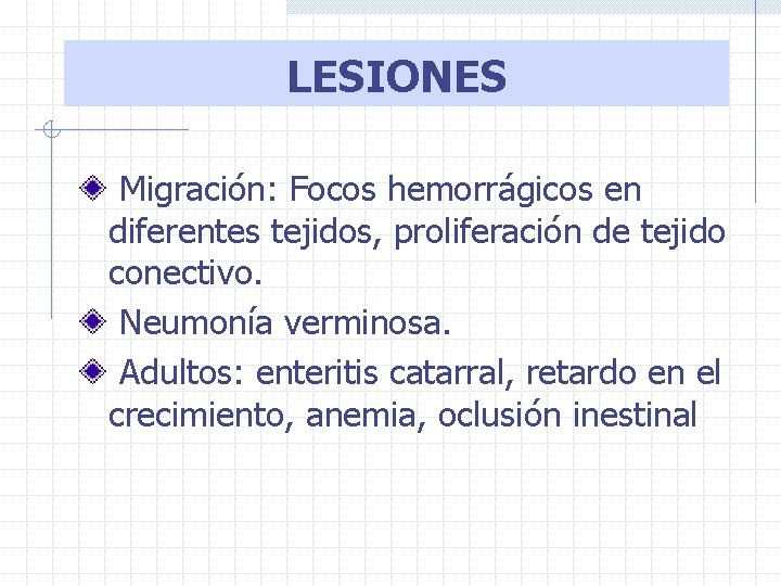 LESIONES Migración: Focos hemorrágicos en diferentes tejidos, proliferación de tejido conectivo. Neumonía verminosa. Adultos: