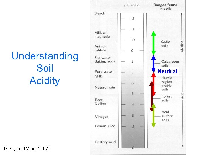 Understanding Soil Acidity Brady and Weil (2002) Neutral 