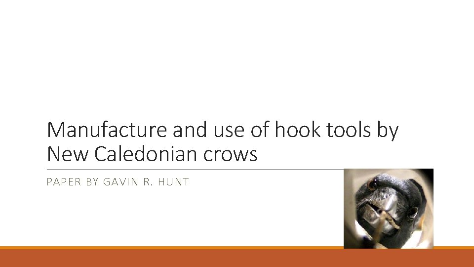 Manufacture and use of hook tools by New Caledonian crows PAPER BY GAVIN R.